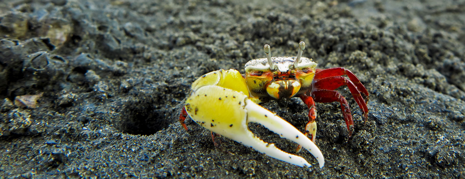 麦寮港水下生态丰富,「海洋生态实验室」是您户外教学不可缺席的景点!